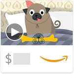 Amazon eGi