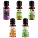 Plant Guru Plant Therapy Essential Oils Lip Balms