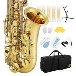 Eastar AS-Ⅲ Alto Saxophone E Flat for Beginners Advanced, Cleaning Kit, Case, Neck Strap, Reeds, Stand, Eastar Altsaxophon, Golden