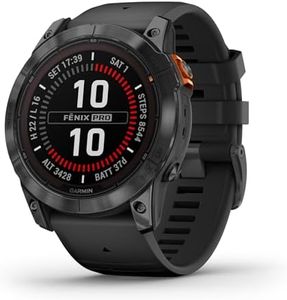 Garmin fēn