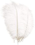 YuZhou 10 PCS Natural Ostrich Feathers, 20-25cm/7.9-9.8inch Wedding Feathers Plume Feather Party Table Feathers Dyed Ostrich Feathers White Feathers Feathers for Centerpieces for Home Wedding Party