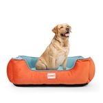 KIBBO Ultra Soft Premium Luxury Pet Bed for Dog and Cat | 100% Polyfill Cotton, Removable Cover, Anti Slip Base | Medium, Large and Extra Large Breeds | Orange-Aqua