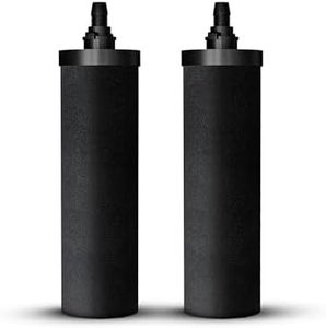 Phoenix Gravity Lot de 2 cartouches filtrantes à charbon de rechange pour filtres à eau potable en acier inoxydable alimentés par gravité et compatibles avec purification Berkey