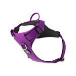 BullyBillows Air Mesh Dog Harness - Non-Restrictive, Ultra Soft, Adjustable, Anti-Pull Design with Handle - Perfect for Any Dog Breed | Purple | XSmall