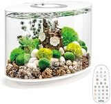 biOrb LOOP 15 Acrylic Aquarium, Whi