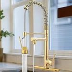 Kitchen Sink Faucet with Pull Down 