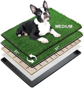 MEEXPAWS M