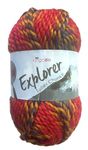 King Cole Explorer Super Chunky 100g (4314 Bird)