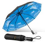 TechRise Umbrella for Rain Windproof, 45 Inches Large Canopy Folding Light and Auto Open-Close with 10 Fiberglass Ribs Compact Collapsible Umbrella for Men & Women Outdoor