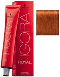 Schwarzkopf Igora Royal Hair Color 