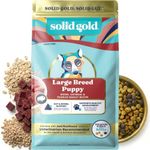 Solid Gold Large Breed Puppy Dog Food Dry Kibble - High Protein Dry Puppy Food for Large Breed Dogs w/Real Bison, Healthy Whole Grain & Probiotics for Gut Health & Digestion - Nutrientboost - 22 LB