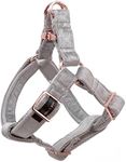 ARING PET Dog Halter Harness, Velve