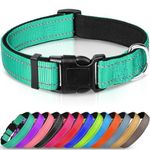 Joytale Reflective Dog Collar,Soft Neoprene Padded Breathable Nylon Pet Collar Adjustable for Large Dogs,Teal,L