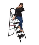 Folding Ladder