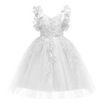 Weileenice Easter Flower Girl Lace Embroidery Dress White 2 3 Toddler Baptism Birthday Church Wedding Party Pageant Princess Ball Gown Christmas Little Girls Formal Prom Tutu Tulle Dresses New Year