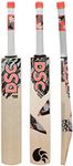 DSC Roar Hunter Kashmir Willow Cricket Bat for Leather Ball, Size 2