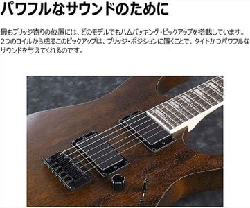 Ibanez GRG121DX Electric Guitar – Black