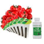 AeroGarden Red Heirloom Cherry Tomato Seed Pod Kit (7-Pod)