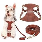 Didog No Pull Dog Harness for Small