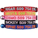 GoTags Personalized Cat Collars wit