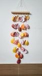 Shellkrafts Multicolor Artificial Seep Sea Shell Wind Chime for Home, Garden|Balcony Decor, Multicolor, Resin Art sea Materials, goa Gift Items, Hanging Decorative Item for Balcony (29 inch)