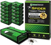 MaxGuard Spider + Insect Traps (12 Box Traps) | Non-Toxic Extra Sticky Glue Traps | Trap and Kill Hobo Spiders, Black Widow Spiders, Brown Recluse Spiders and Other Crawling Bugs & Insects |