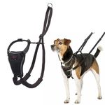 HALTI No Pull Harness - To Stop Your Dog Pulling on the Leash. Adjustable, Lightweight and Easy to Use. Reflective Dog Training Harness for Small Dogs (Size S, Black)