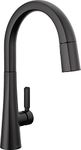 Delta Faucet 9191-BL-DST Monrovia Kitchen Faucet, Matte Black