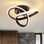 EIDISUNY LED Ceiling Light Interweave Modern Creative White Black Ceiling Lamp for Hallway Office Unusual Lamps Bedroom Kitchen Living Room LED Ceiling Light Warm White 22W 25cm (Black)