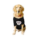 Ruse Basic Crew Neck Birthday Girl Printed Half Sleeves/Apparel/Clothes/T-Shirt Gift for Dogs.Colour-Black/Medium (Chubby Pugs, Beagle etc.)