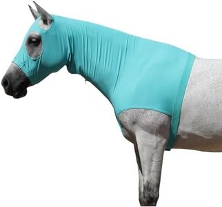 LEAFOREST Stretch Horse Slinky Hood with Zip Full Face Sleezy for Horses Lightweight Neck Cover Turquoise Green XXL