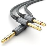 BlueRigger 6.35mm Instrument Cable 6FT (Male TS ¼ Inch to 2 Port 6.35 mm Speaker Cables, ¼” Amp Cord, Stereo Audio Interconnect Cable) Compatible with Speaker, Guitar, Amplifier, Keyboard