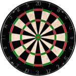 Bristle Dart Board, Tournament Size