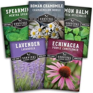 Herbal Tea Seed Collection - 5 Herb Varieties to Grow & Plant in The Home Herb & Vegetable Garden - Chamomile, Lavender, Mint, Echinacea, Lemon Balm Seeds - Non-GMO Heirloom - Survival Garden Seeds