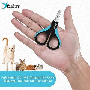 Slide 5
