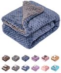 Outdoor Blanket For Dog