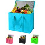 Reusable Insulated Grocery Bags