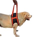 Lana Paws Front Legs Lifting Support Harness For Dogs, Medium, Black