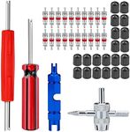 Valve Stem Removal Tool Kit, with Valve Stem Caps, Tire Valve Cores, 4-Way Valve Tool, Single, and Dual Heads Valve Core Remover Tire Repair-44PCS