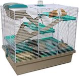 Pico XL Translucent Teal - Hamster 