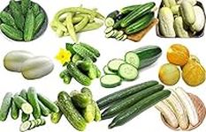 100+ Cucumber Mix Seeds 12 Varietie