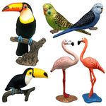 Party Animal Garden Gifts