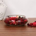 Home Centre Splendid Glass Spring Bowl - Silver