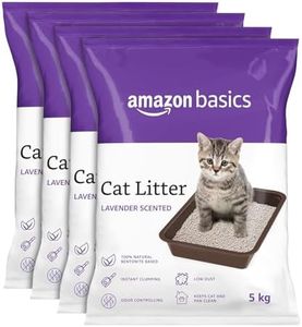 Amazon Bas