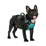 HEELE Dog Harness, No Pull Dog Harness Small, Release on Neck, Front Back Clips Dog Vest Harness Reflective Adjustable Padded, Easy Control Handle for Outdoor Walking Training, Turquoise, S