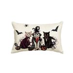 AVOIN colorlife Halloween Skeleton Cat Throw Pillow Cover, 12 x 20 Inch Horror Pumpkin Bat Spider Cushion Case Decoration for Sofa Couch