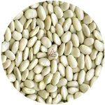 Dried Great Northern Beans - 1 KG