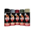 Hi-Temperature 1200 deg. Stove and Fireplace Paint (Metallic Brown)