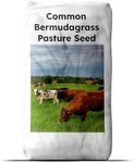 Outsidepride Forage Bermuda Seeds -