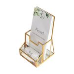 Feyarl Gold Glass Brochure Holder Pamphlets Cards Literature Holder Flyer for 4" Trifold Holder Glass Display Stand with Business Card Holder for Brochures Magazines Literatures Display Countertop